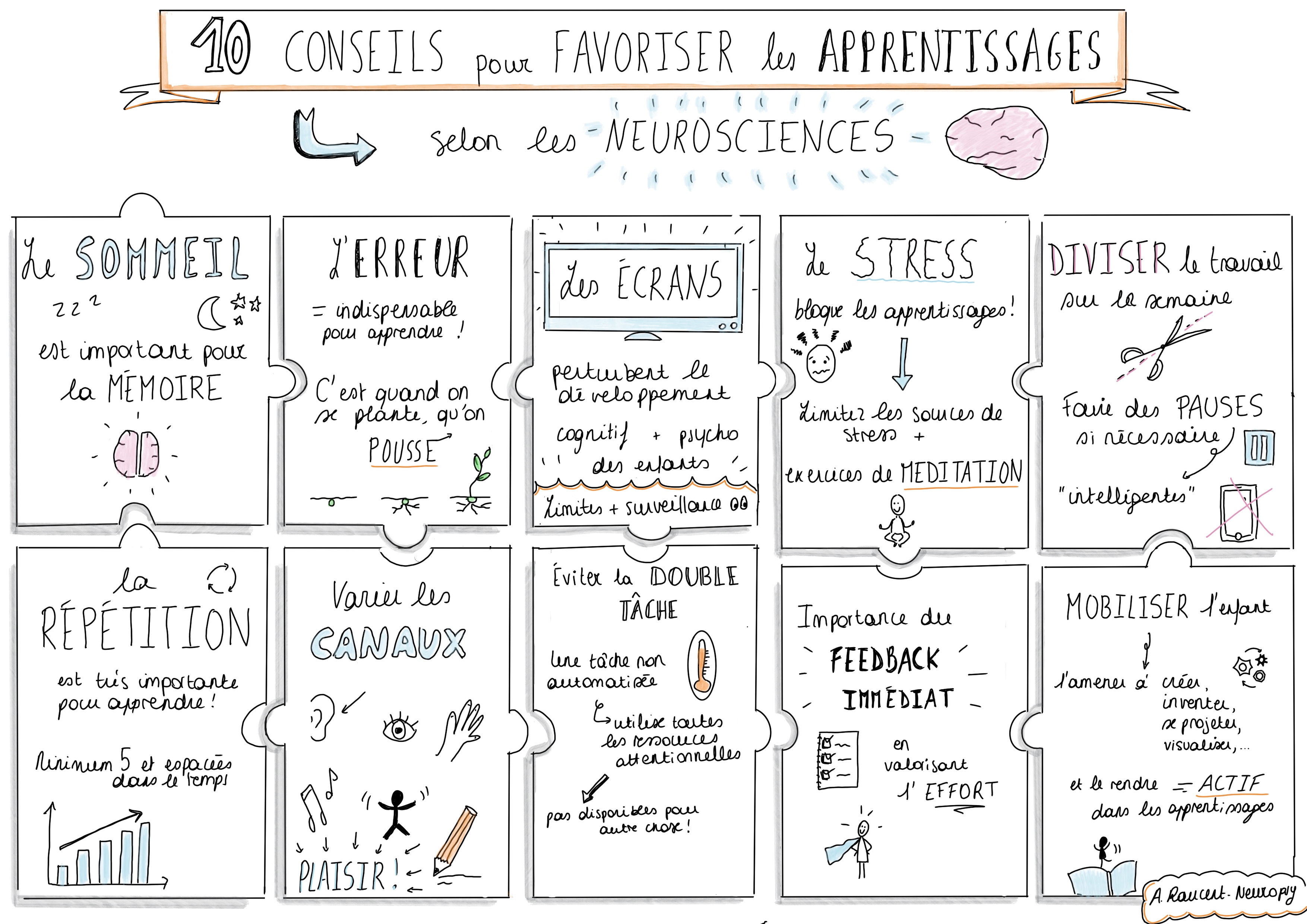 10 conseils pour favoriser les apprentissages – Neuropsychologue
